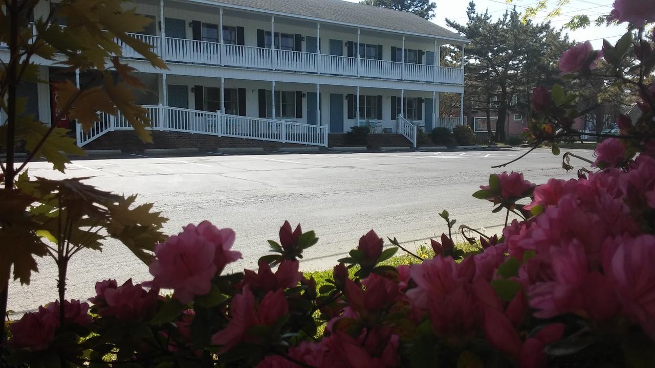 Sea Shell Motel Chincoteague Exterior photo